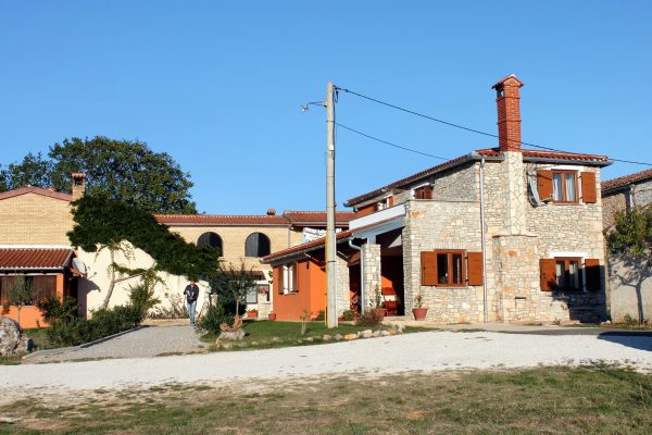 Guran - photo 3