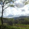 Juradi - photo 3