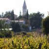 Kaštelir - photo 4
