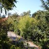 Katun Lindarski - photo 2