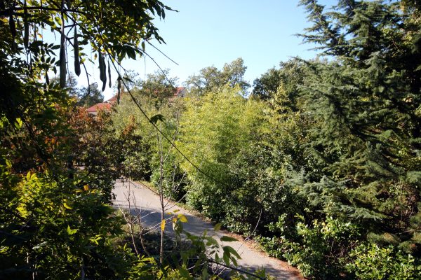 Katun Lindarski - photo 2