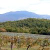 Kosovija - photo 1