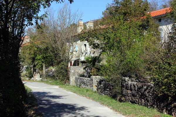 Kožljak - photo 2