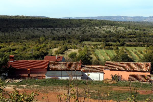 Kožljak - photo 3