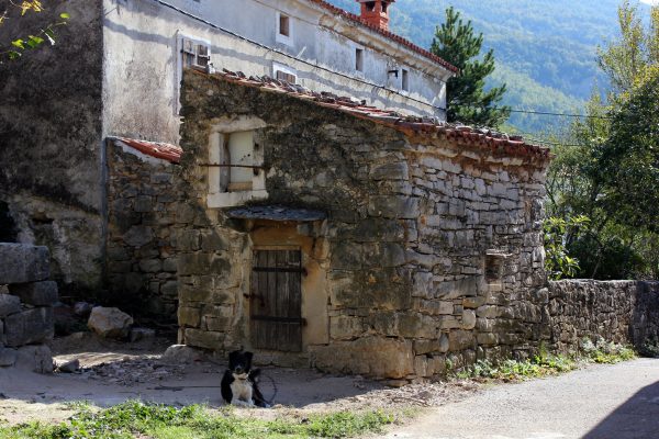 Kožljak - photo 4