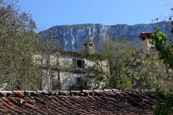 Kožljak - photo 5