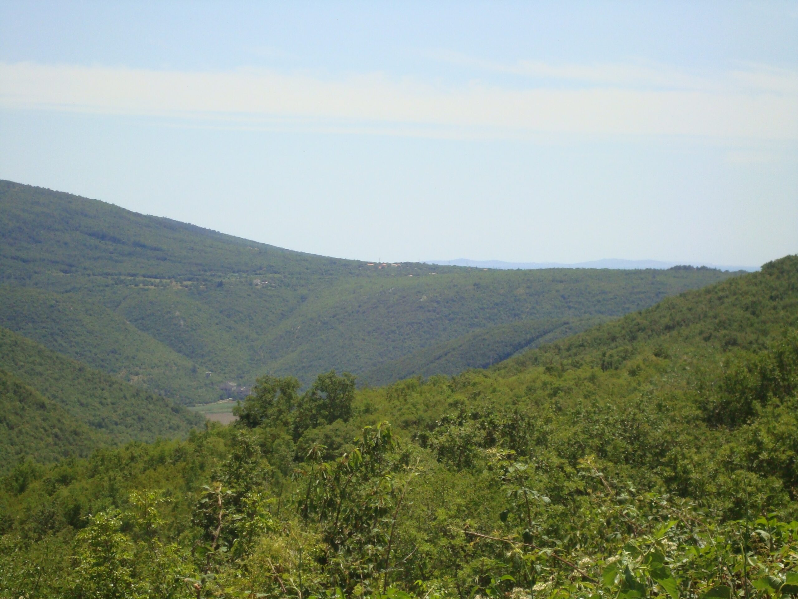 Mali Turini