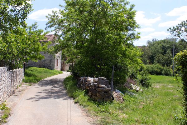 Matohanci