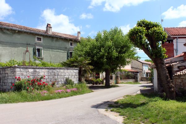 Matohanci - photo 3