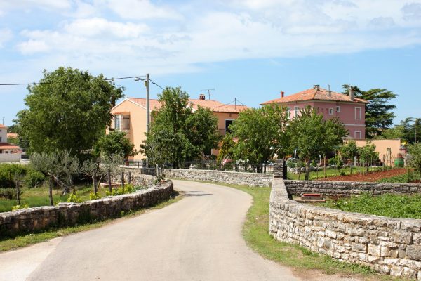 Matohanci - photo 4