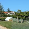Meštri - photo 1
