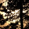 Milinki - photo 5
