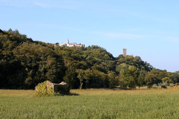 Momjan - photo 1