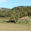 Momjan - photo 7