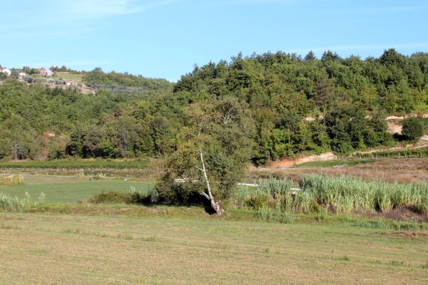 Momjan - photo 7