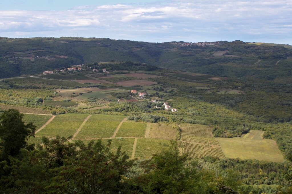 Istria Central Istria Motovun Bataji Croatia