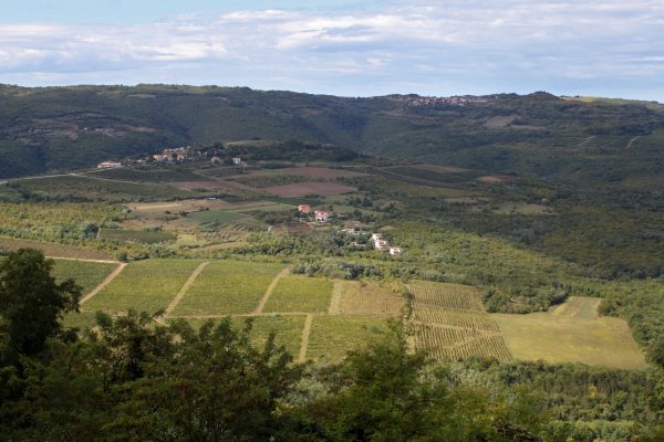 Motovun – Bataji