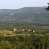 Motovun – Bataji - photo 2