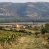 Motovun – Bataji - photo 3
