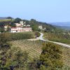 Motovun – Brkač - photo 1