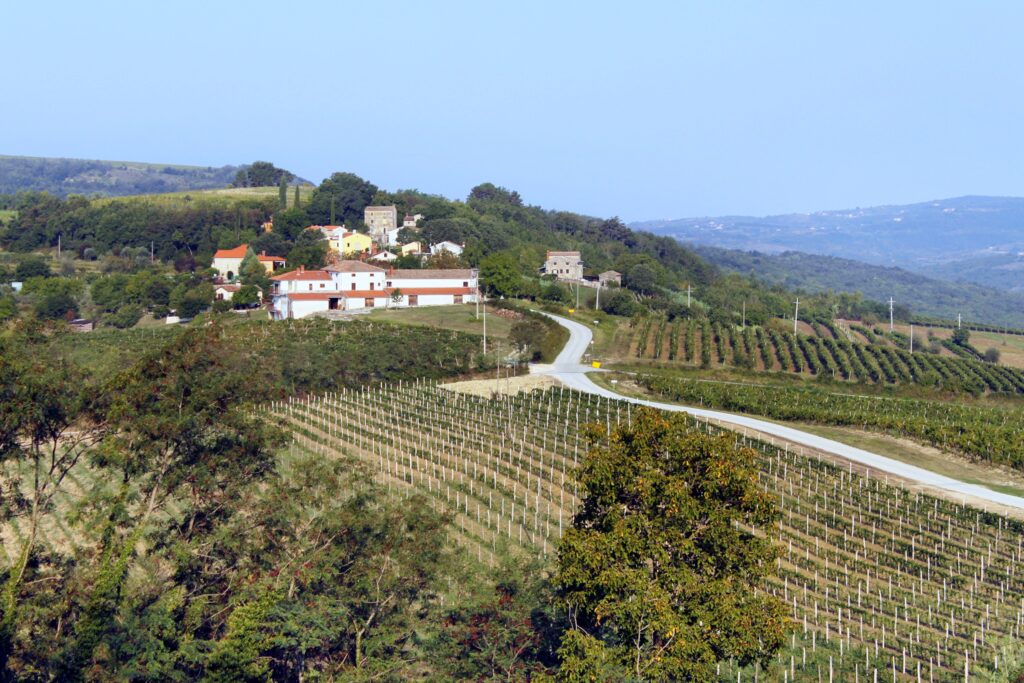 Istria Central Istria Motovun Brkac Croatia