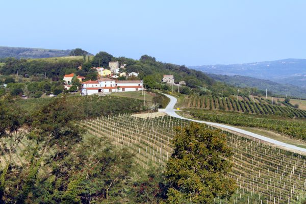 Motovun – Brkač