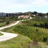 Motovun – Brkač - photo 2