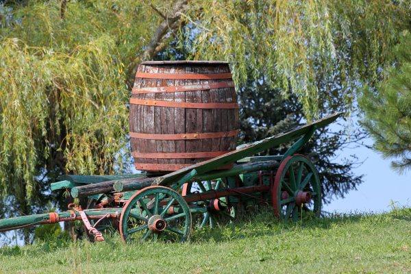 Motovun – Brkač - photo 3