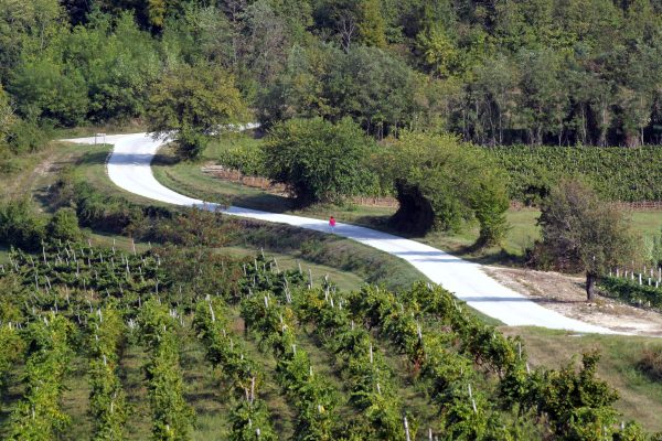Motovun – Brkač - photo 5