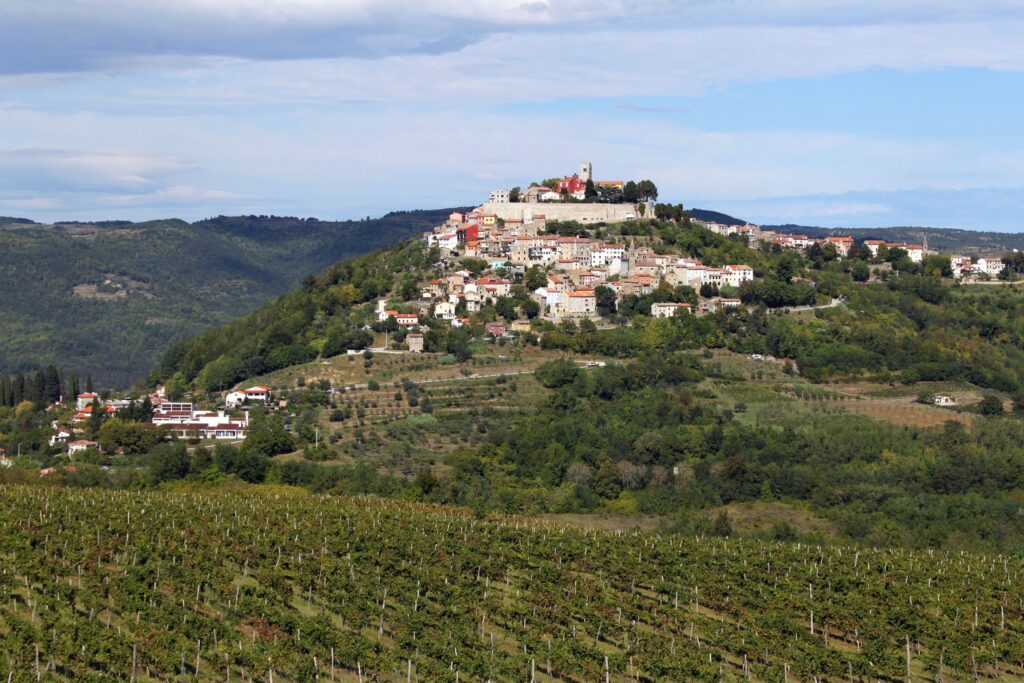 Istria Central Istria Motovun Croatia