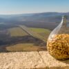 Motovun - photo 10