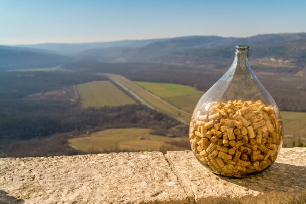 Motovun - photo 10