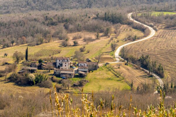 Motovun - photo 11