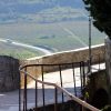 Motovun - photo 14