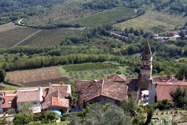 Motovun - photo 15