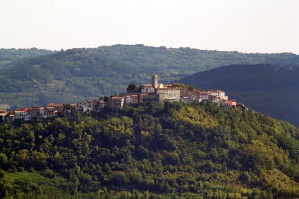 Motovun - photo 16