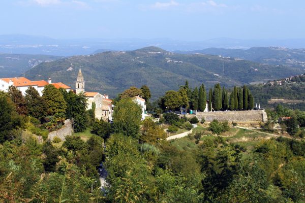 Motovun - photo 17
