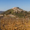 Motovun - photo 2