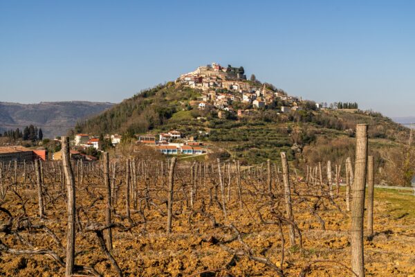 Motovun - photo 2