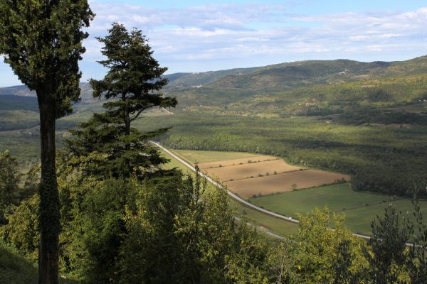 Motovun - photo 20