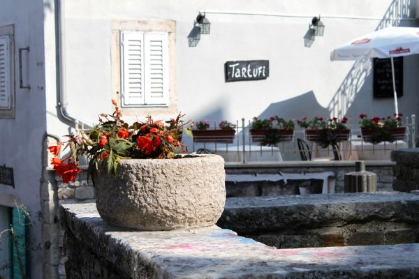 Motovun - photo 23