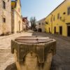 Motovun - photo 7