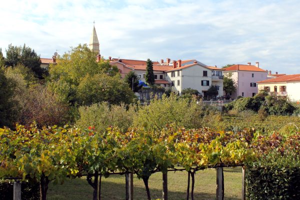 Nedešćina