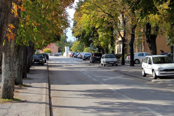 Nedešćina - photo 3