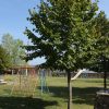 Oprtalj - photo 12