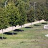 Pilkovići - photo 2