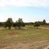 Pustijanci - photo 2