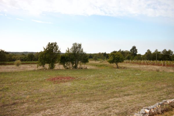 Pustijanci - photo 2