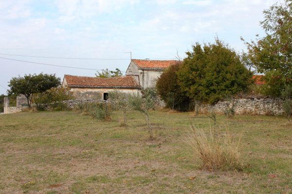 Pustijanci - photo 3