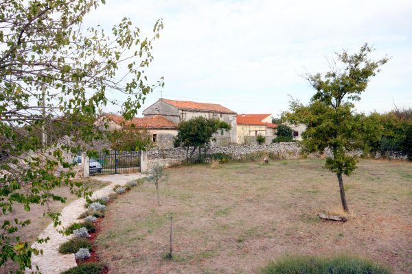 Pustijanci - photo 4